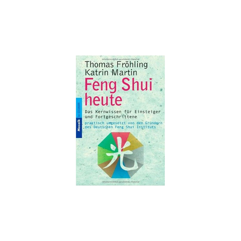 Feng Shui heute Taschenbuch